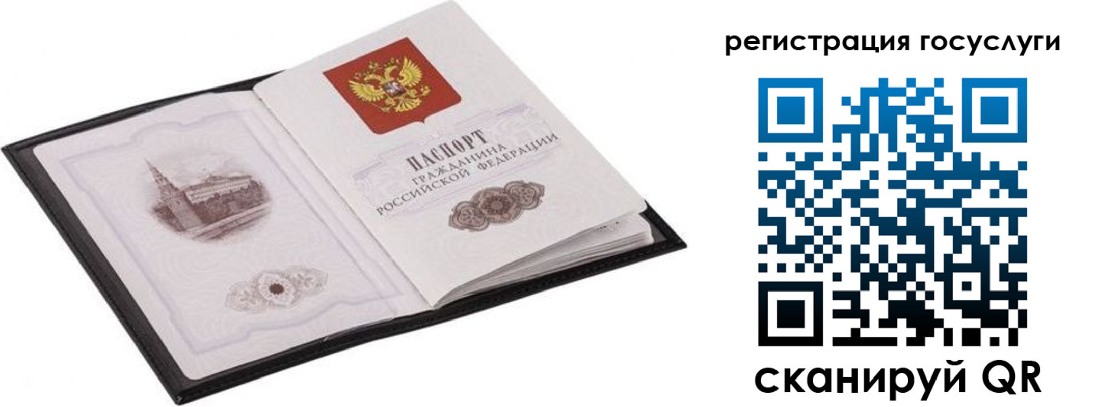 временная регистрация поиск в Амурске